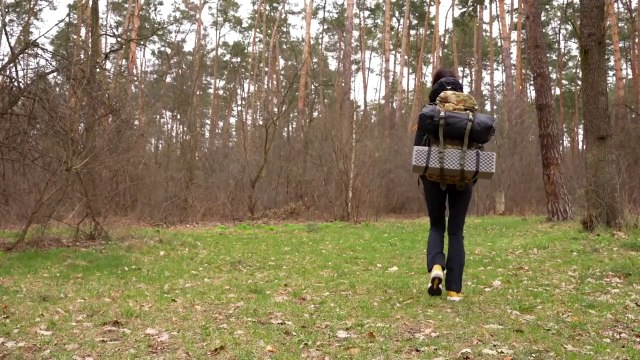 SOLO CAMPING - REST IN A TENT WITH SATISFACTORY SOUNDS OF NATURE - ASMR #camping #asmr