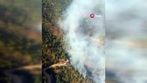 İzmir'de ormanlık alandaki yangına havadan ve karadan müdahale