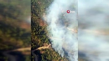 İzmir'de ormanlık alandaki yangına havadan ve karadan müdahale