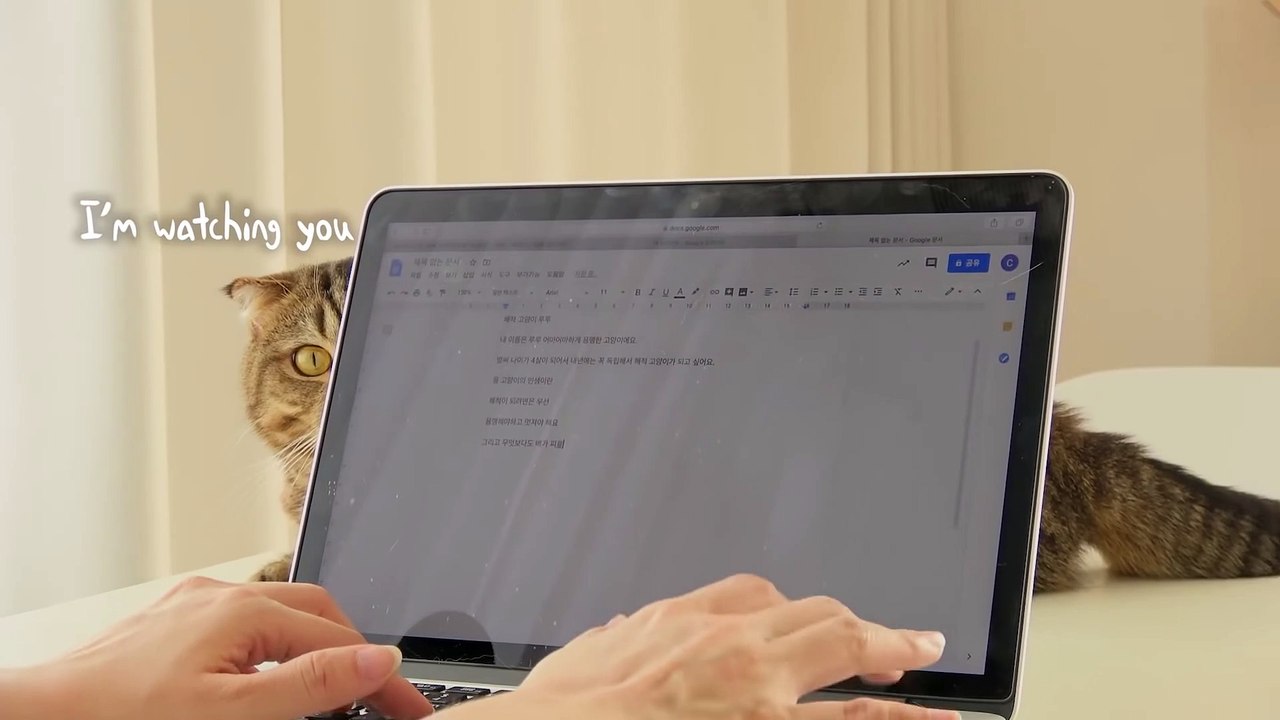 My Cats Won’t Let Me Work! | Kittisaurus