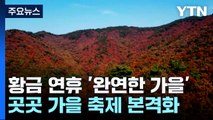 [날씨] 황금 연휴 '완연한 가을'...곳곳 가을 축제 본격화 / YTN