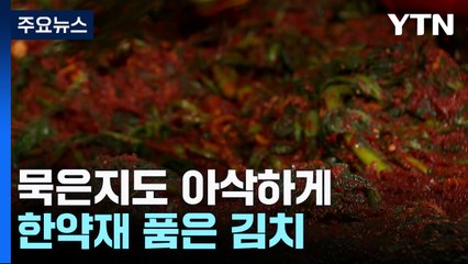 비법 기술로 묵은지도 아삭하게...한약재 품은 김치 / YTN