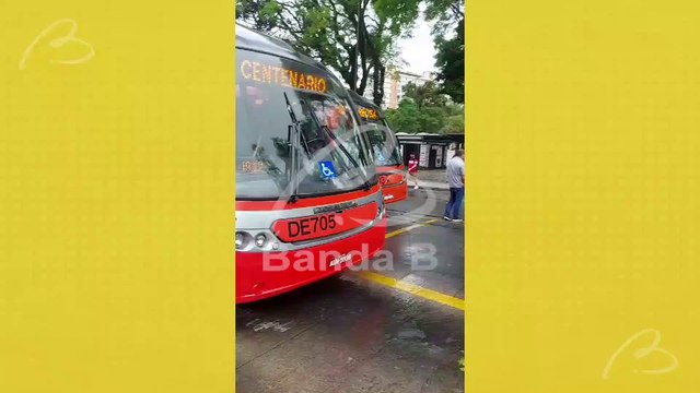 Árvore de grande porte cai sobre ponto de ônibus e mobiliza bombeiros na Praça Rui Barbosa