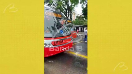 Árvore de grande porte cai sobre ponto de ônibus e mobiliza bombeiros na Praça Rui Barbosa