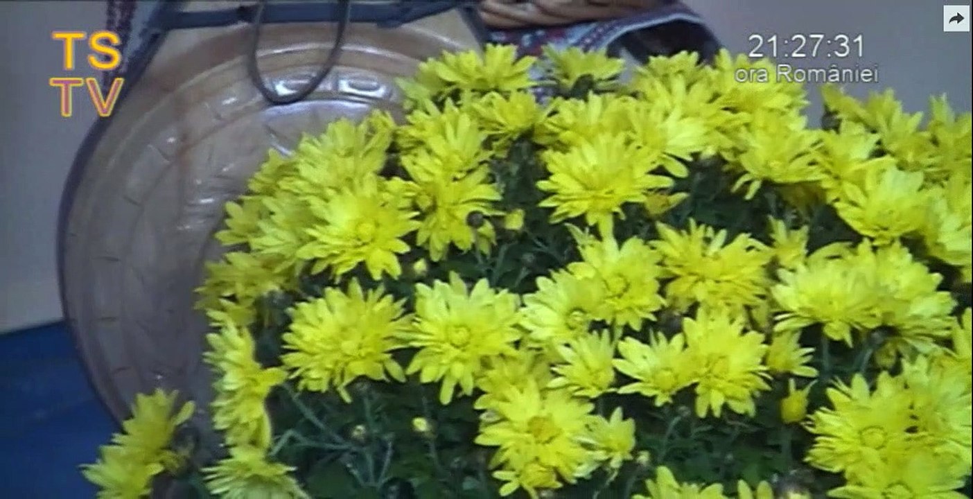 Angela Saftoiu - Tu te duci, neica, te duci