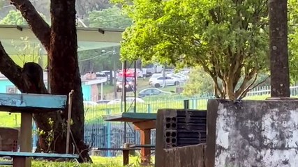 Jovem fica ferido ao sofrer lesão física em recanto no Bairro Floresta
