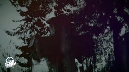 3 HISTORIAS DE TERROR VOL. 118 (Relatos De Horror)