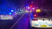 Teenager Dies, Five Others Injured After Ute Crashes into Tree in Sydney's Northern Beaches