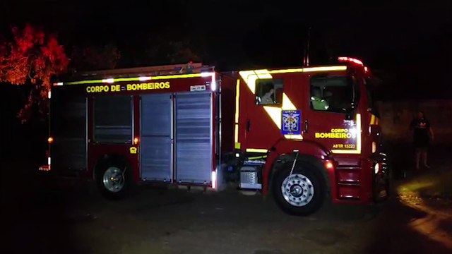 Bombeiros são acionados para fazer resgate de gato na Vila Tolentino