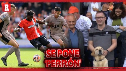 Aficionado lleva a su PERRITO a un partido de PREMIER LEAGUE