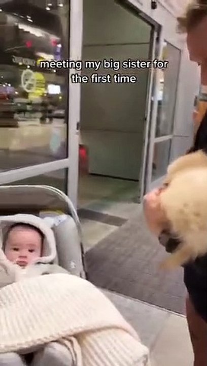 Puppy Meets Baby for the first time_(360P)