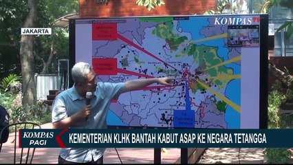 KLHK Bantah Asap Karhutla di Sumatera Berdampak Hingga ke Malaysia dan Singapura