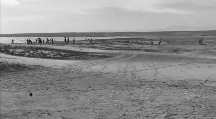 Araya (1959) - A Captivating Venezuelan Documentary by Margot Benacerraf 🎥