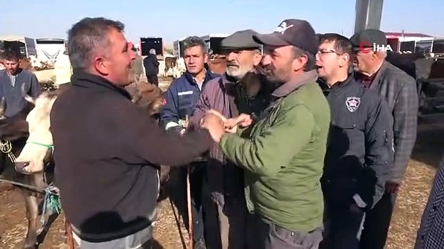 Yozgat'ta Şap Hastalığı Nedeniyle Kapatılan Canlı Hayvan Pazarları Yeniden Açıldı
