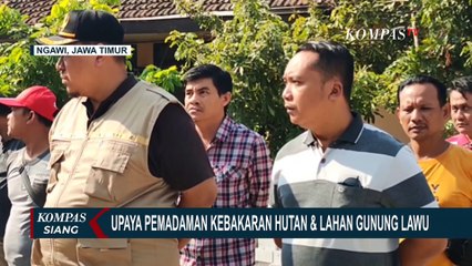 Jumlah Pengunjung Wisata Kebun Teh Jamus di Ngawi Menurun Akibat Kebakaran Gunung Lawu