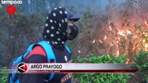 Petugas Siaga Padamkan Api yang Merambat ke Area Kebun Teh di Ngawi