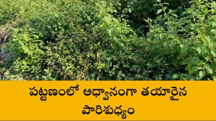 బాపట్ల జిల్లా: ఇదేం పారిశుధ్య నిర్వహణ.. ప్రజారోగ్యాన్ని గాలికొదిలేసి..!