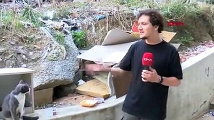 Camiden 'anne kedi üzgün, ağlıyor' anonsu