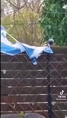 Kargadan inanılmaz hamle! İsrail bayrağını bakın ne yaptı