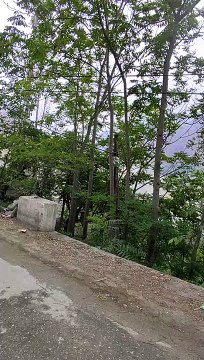 Hunza Gilgit Beautifull Views Gilgit Pakistan