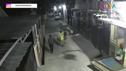 VIDEO 2 Kerbau Lepas Ngotot Seruduk Pengendara Motor