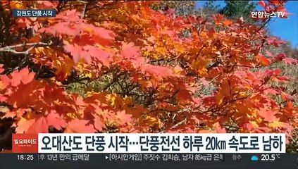 설악산 이어 오대산도 첫 단풍…이달 하순부터 최고조