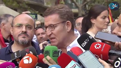 Feijóo responde a los medios en la manifestación en contra de la amnistía
