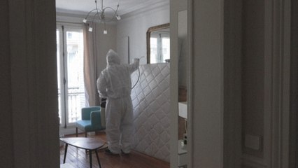 Punaises de lit: à Paris, des entreprises spécialisées traquent la petite bête