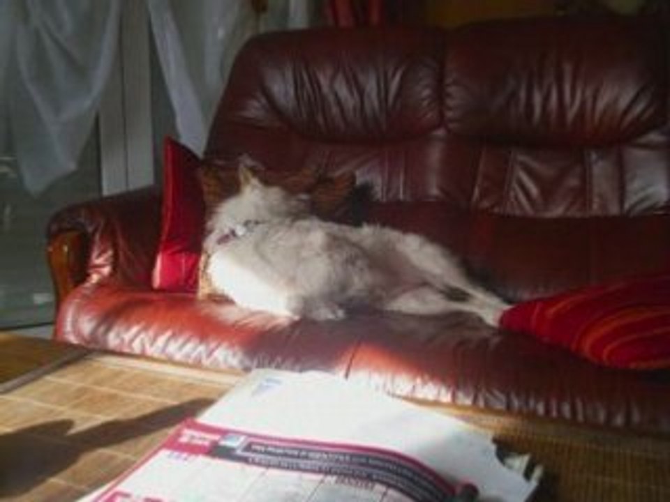 Vanie a la sieste 2