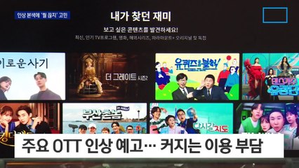 이용자 늘자 구독료 인상 본색…커지는 이용 부담