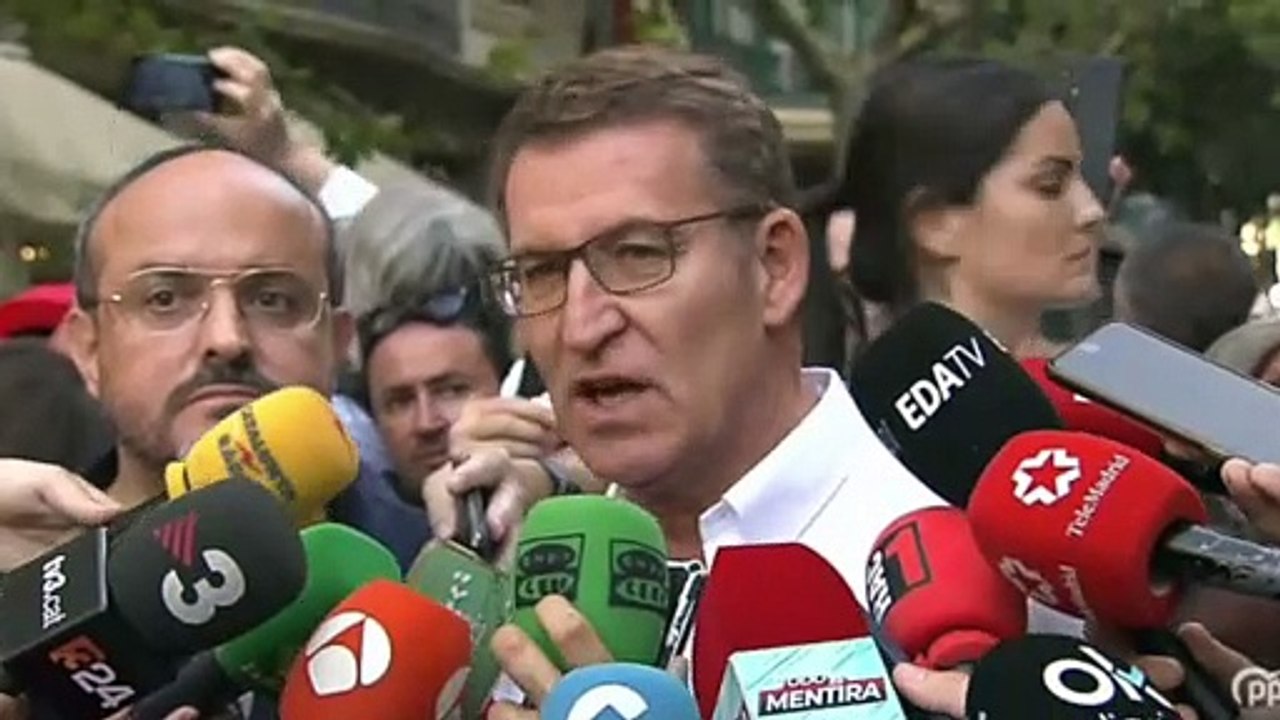El líder del PP, Alberto Núñez Feijóo, en la manifestación contra la amnistía en Barcelona / EUROPA PRESS