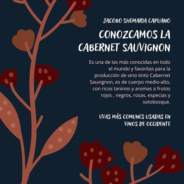 -Jacobo Shemaria Capuano- Uvas más comunes usadas en vinos de occidente: Parte (1) (Creado por @JacoboShemariaCapuano)