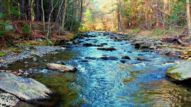 LISTEN TO THIS EVERY MORNING! I AM Affirmations For Success, Wealth, Positivity & Happiness