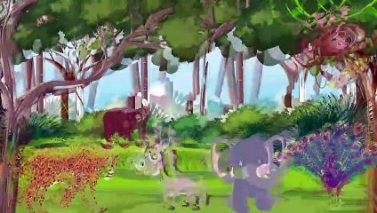 Donkey and Cheetah- moral Stories