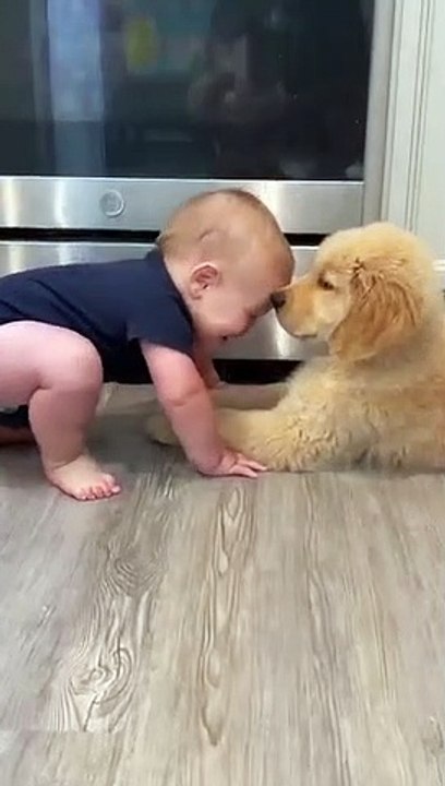 Baby Plays with Puppy_(360P)