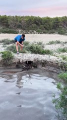 Rescuing A Deer From A Well
