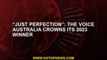 “Just perfection”: The Voice Australia crowns its 2023 winner