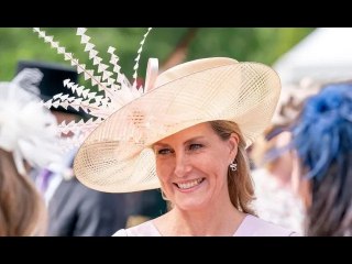 'Undervalued asset!' Sophie Wessex praised as Firm's 'secret weapon' by royal expert