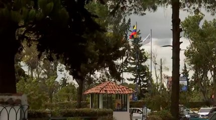Niño siete años falleció en un cementerio tras ser impactado por la rama de un árbol