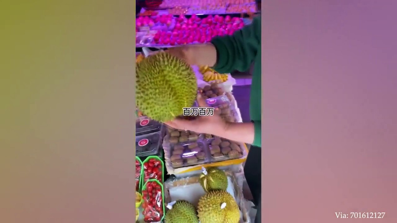 animal funny video 109