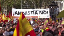 Miles de personas en la manifestación de Barcelona contra la amnistía de Pedro Sánchez