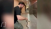 Tuvalette yılan şakası