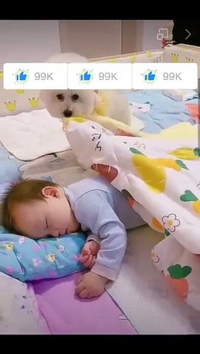 ----❤️❤️Most heartwarming _ touching_ Cute Dog Takes Care Of Cute Baby----(360P)