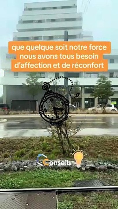 Avec le temps #motivation #positivity #positivevibes #positive #conseil #positiveenergy