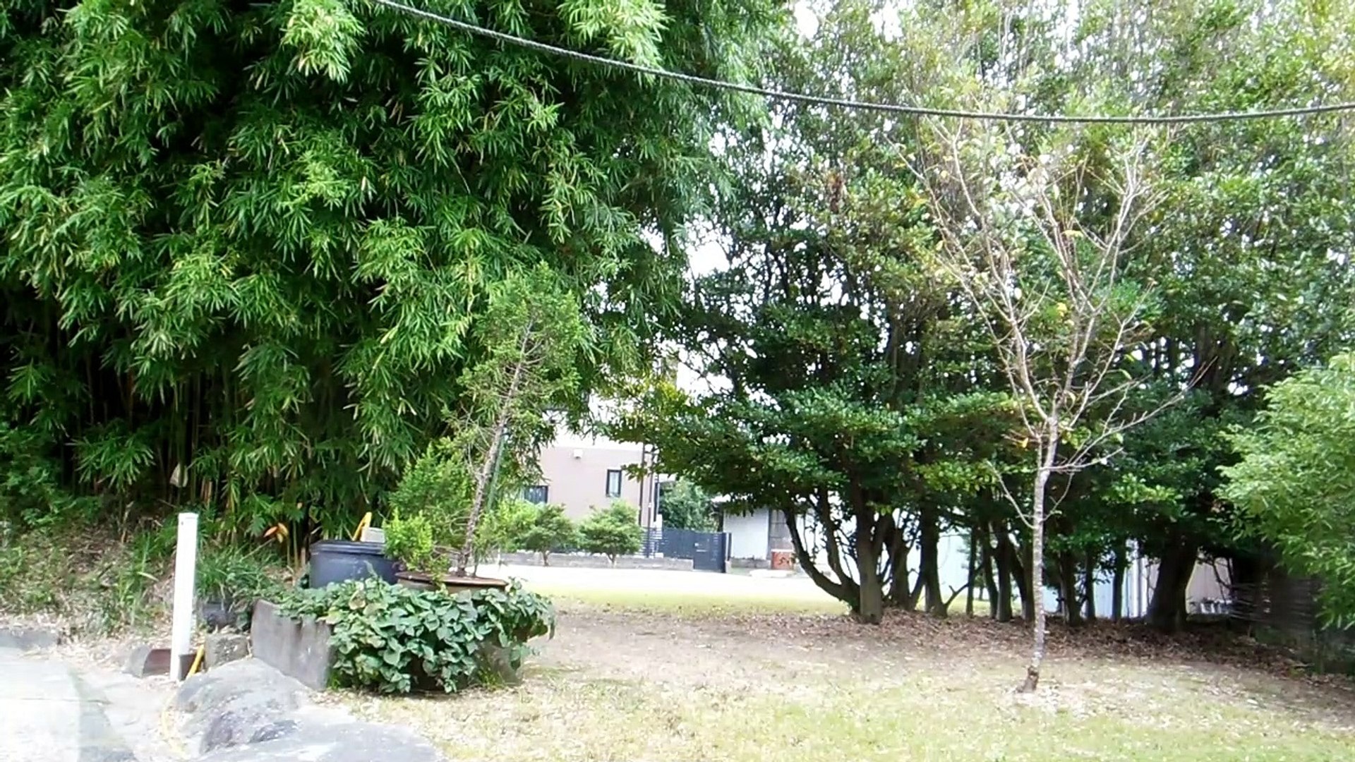⁣Autumn Bird Sounds at the Old Japanese Farm House