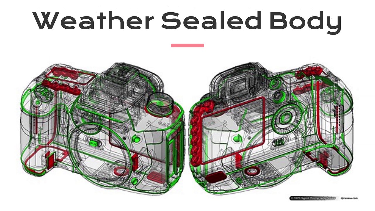 Canon 6D Mark II | The Ultimate Professional Photography Tool | Tech Talk