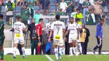 Palmeiras x Santos (Campeonato Brasileiro 2023 26ª rodada) 2° tempo