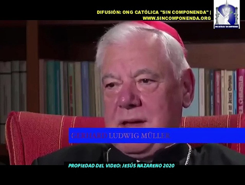 HABLA EL CARDENAL MULLER. EL SÍNODO O ESTÁN CON DIOS O ESTÁN CONTRA ÉL