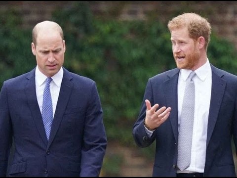 Harry et William toujours fâchés : après l'hommage à Diana, la séquence qui a...