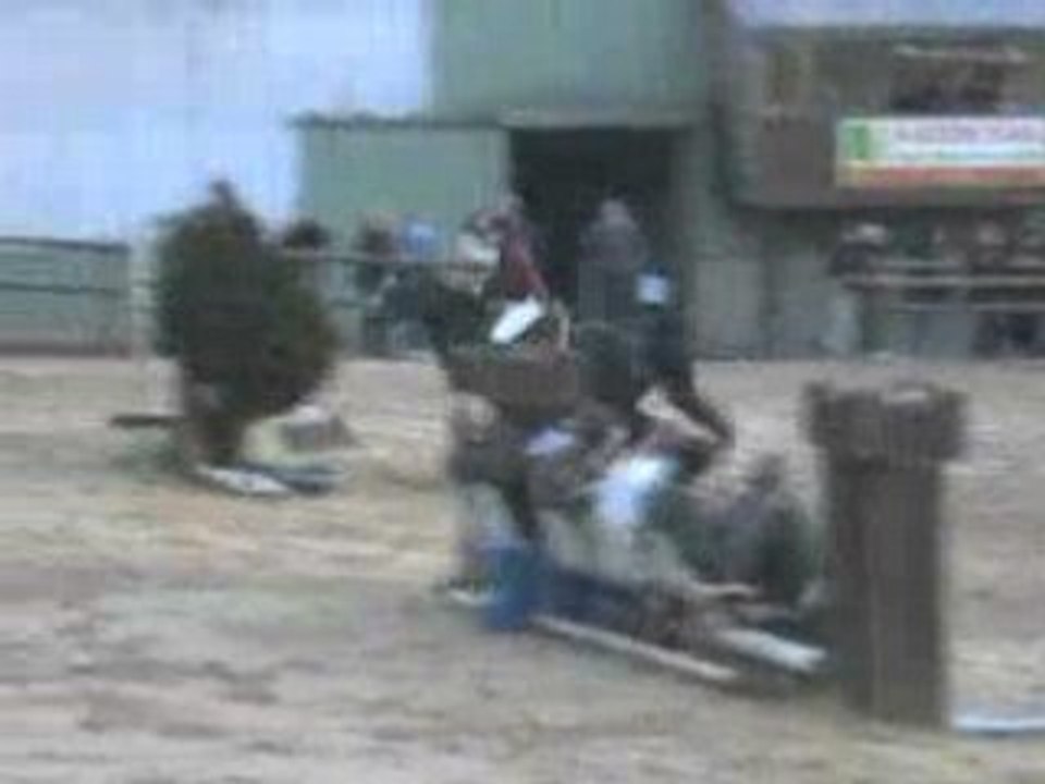 Nepheline du reuil et Morgane ferellec " Guilers D1PGP"